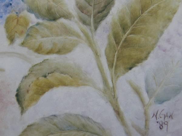 ナンシー ガン、紫陽花、★極希少画集★、新品高級額・額装付、状態良好