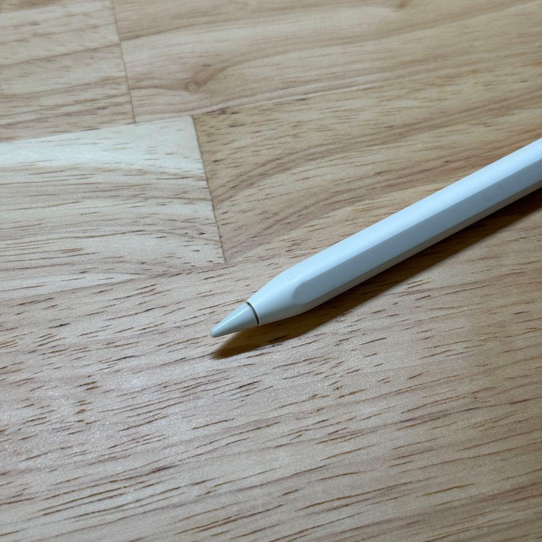 【美品】iPad Pro12.9 第五世代+Apple pencil おまけ付き