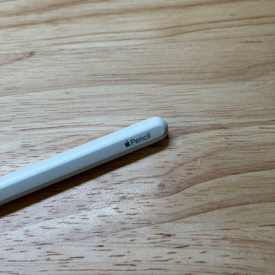 【美品】iPad Pro12.9 第五世代+Apple pencil おまけ付き