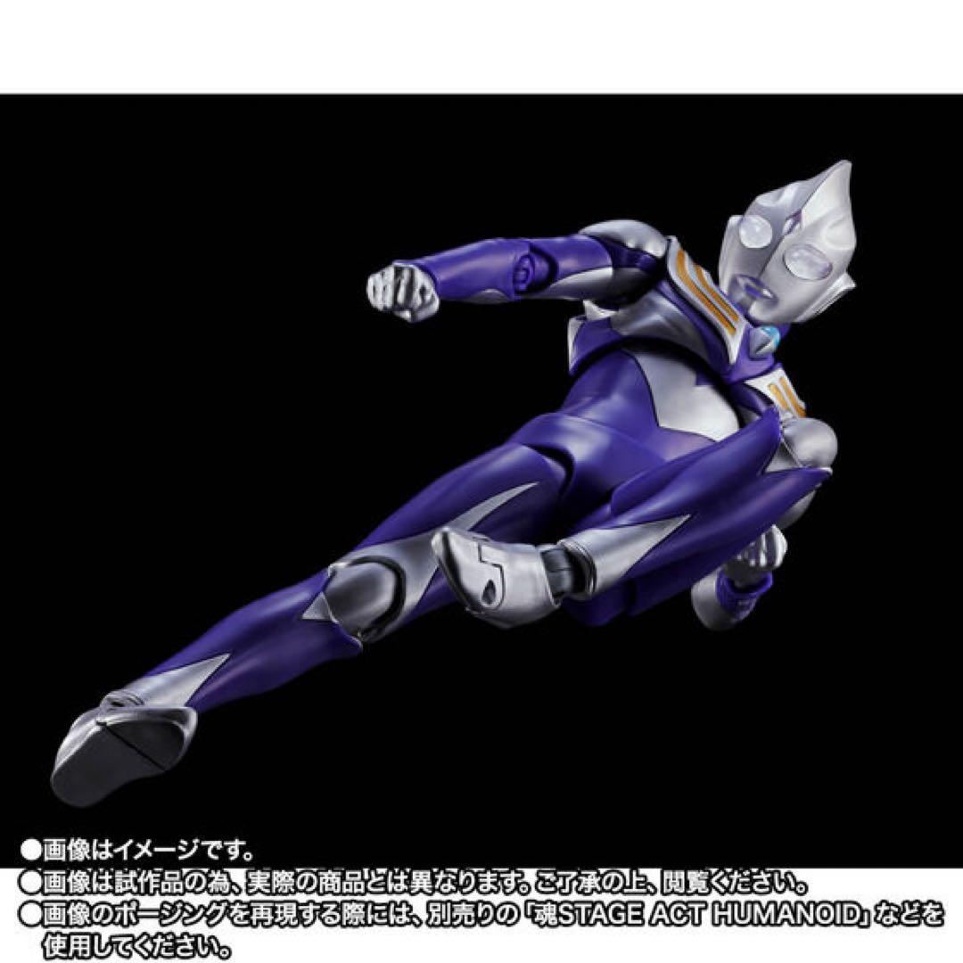 S.H.Figuarts 真骨彫　ウルトラマンティガ スカイタイプ 伝票跡なし