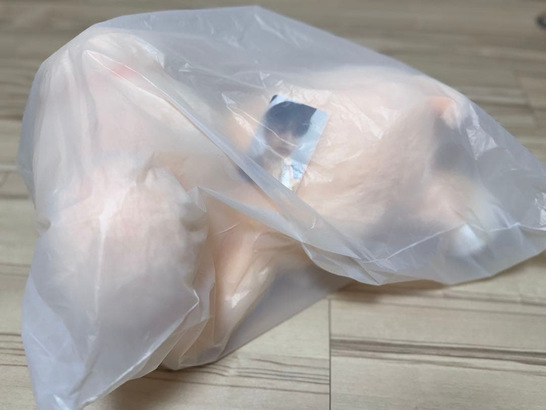 アイドル Stray Kids PuppyM PLUSH LYING Ver.