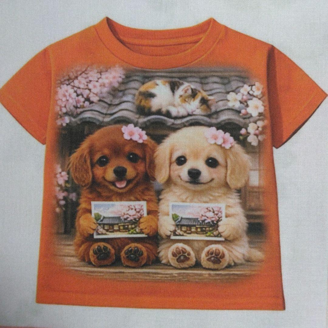 ☆受付☆ダックス