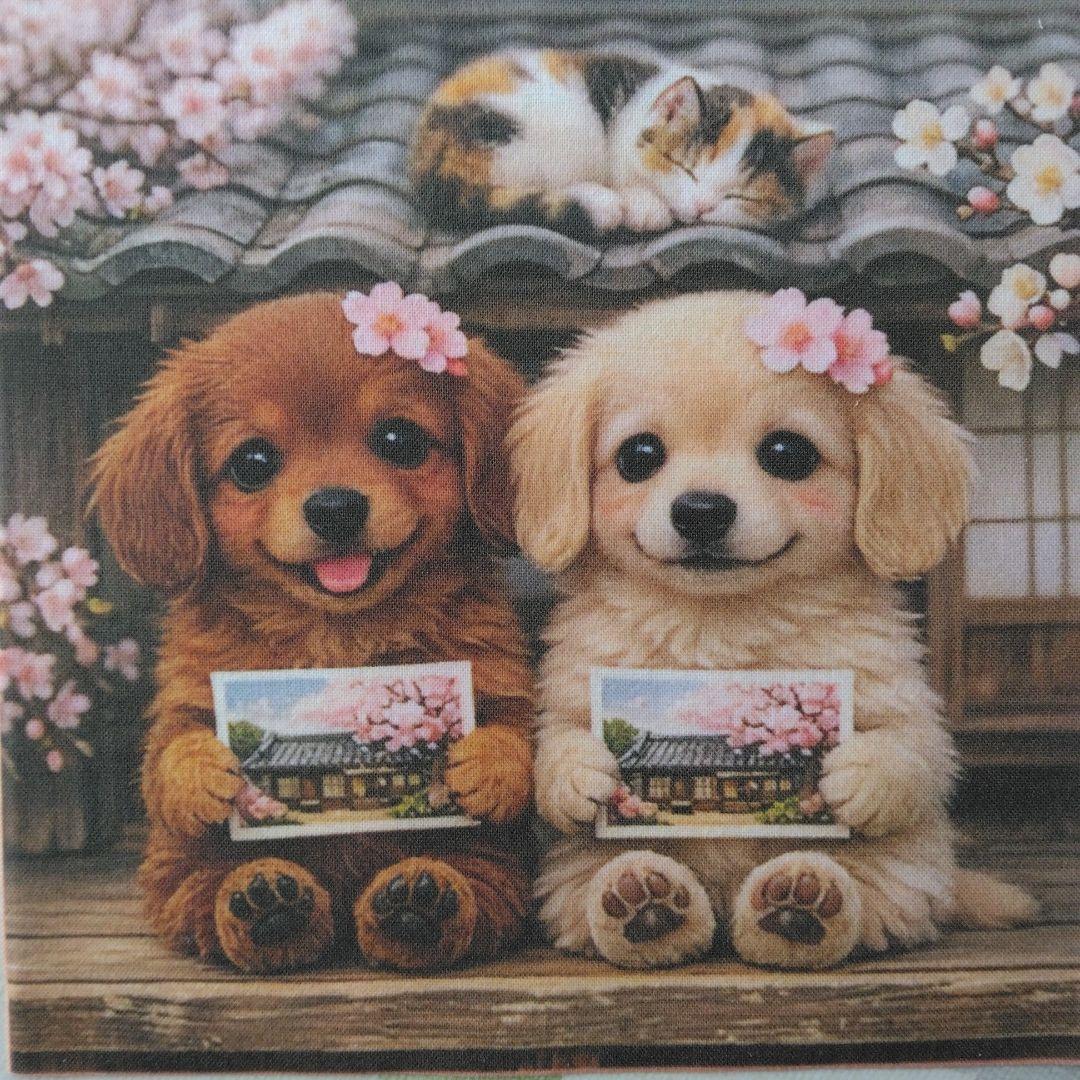 ☆受付☆ダックス