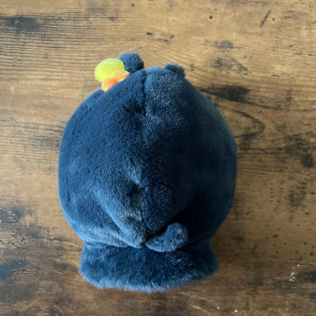 RIIZE ウォンビン ペンライトカバー FANLIGHT CAPE