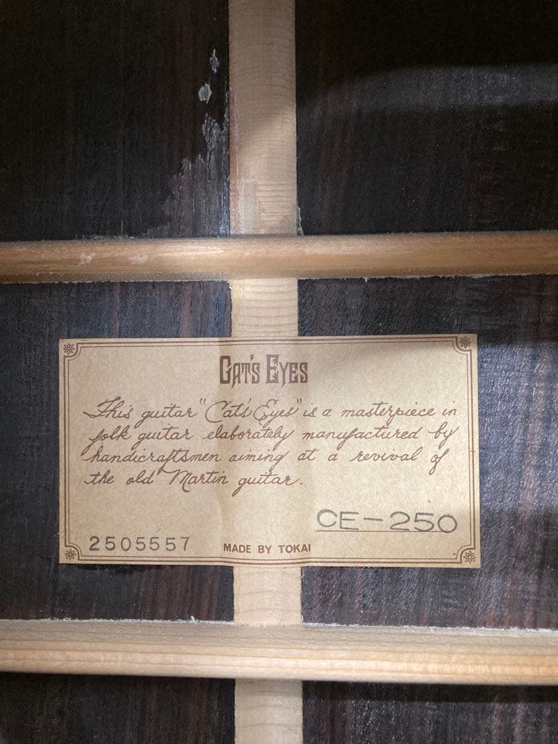 【キャッツアイ】CE-250アコースティックギター ハードケース付