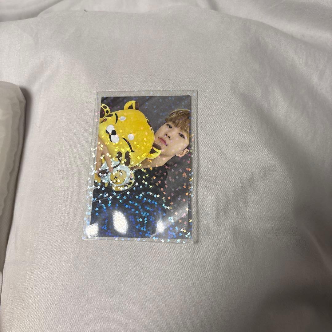 seventeen ホシ タムタム artist made ぬいぐるみ