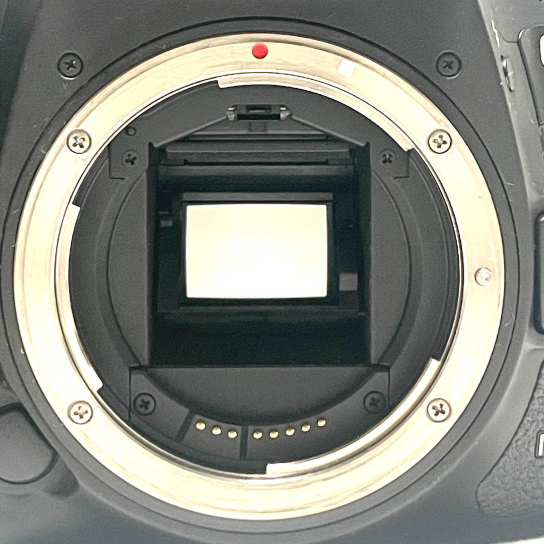 高速AF❣️ EOS 7D Mark II 超望遠Wレンズセット イベントに最適