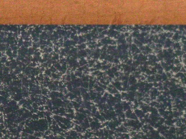 ♥掛軸　子爵　清岡 長言　掛け軸　骨董品