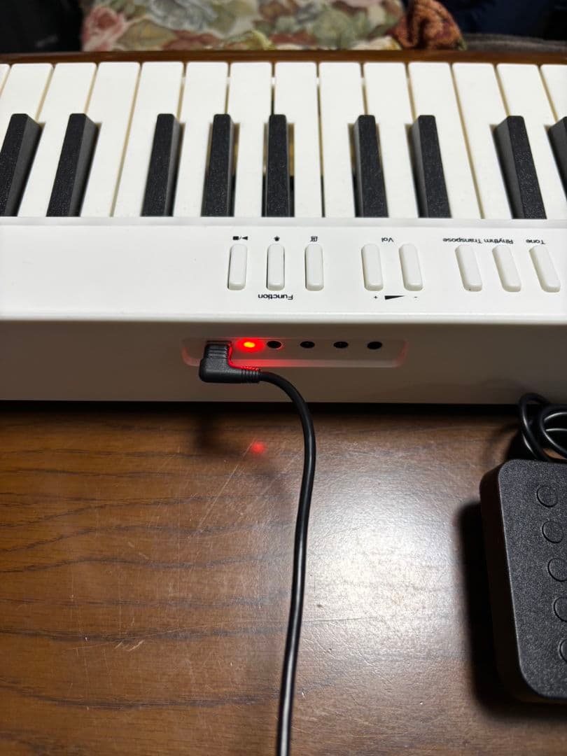 TERENCE 88鍵盤電子ピアノ