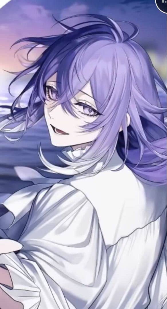 プレインシート 専用