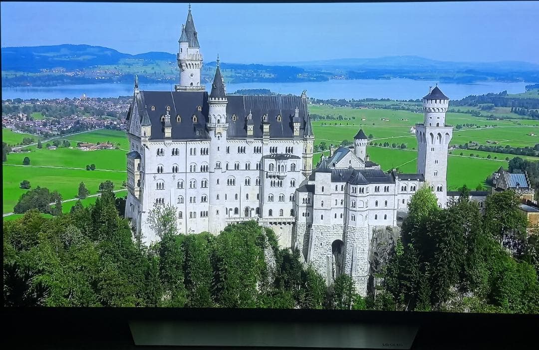 LG有機ELテレビ　５５インチ OLED55C7P-J