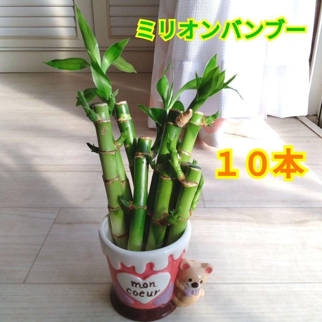 masajo プロフ確認お願いします様 リクエスト 4点 まとめ商品