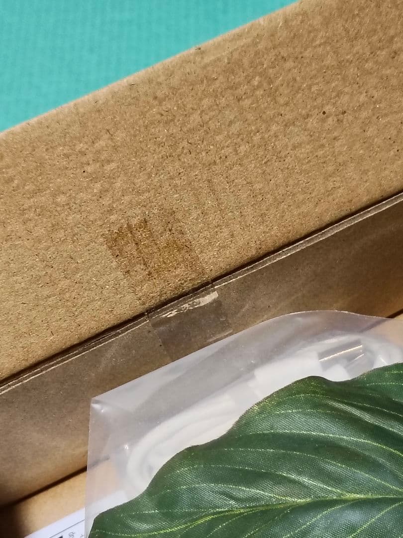 小トトロのほんのりランプ