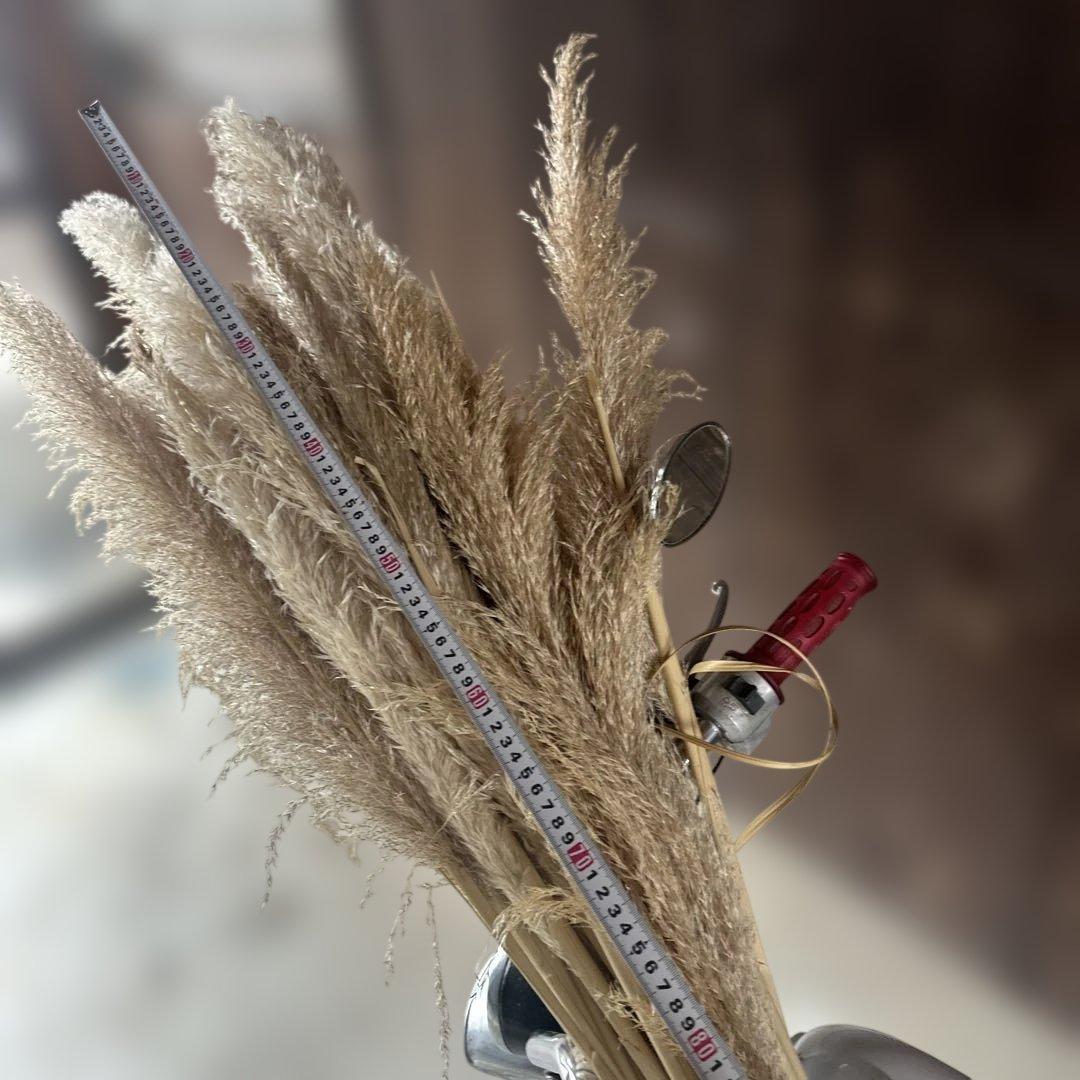 パンパスグラス ドライフラワー