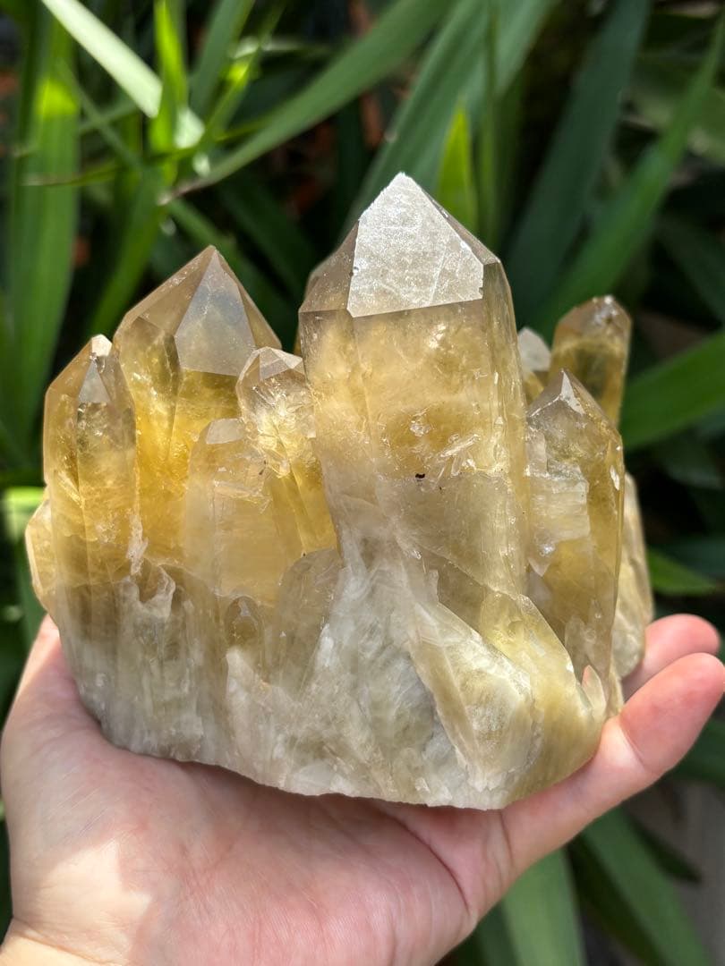 ブラジル産シトリンクラスター1888g 立派　ファントムあり　迫力　ポイント太い