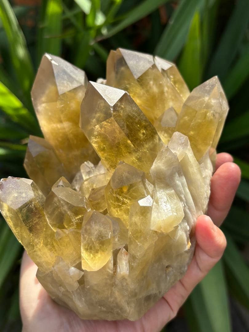 ブラジル産シトリンクラスター1888g 立派　ファントムあり　迫力　ポイント太い