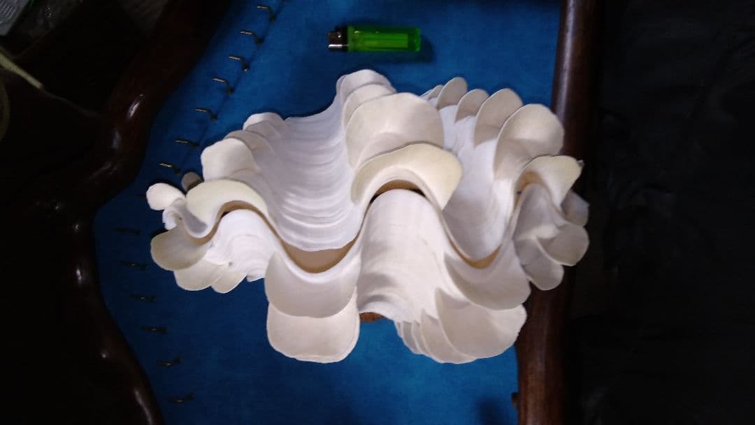 おきなわ小浜島産ヒレシャコ貝ランプ