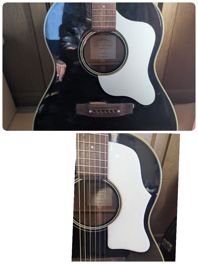 ♪Stafford SAD-600BK エレアコ・ハードケース♪