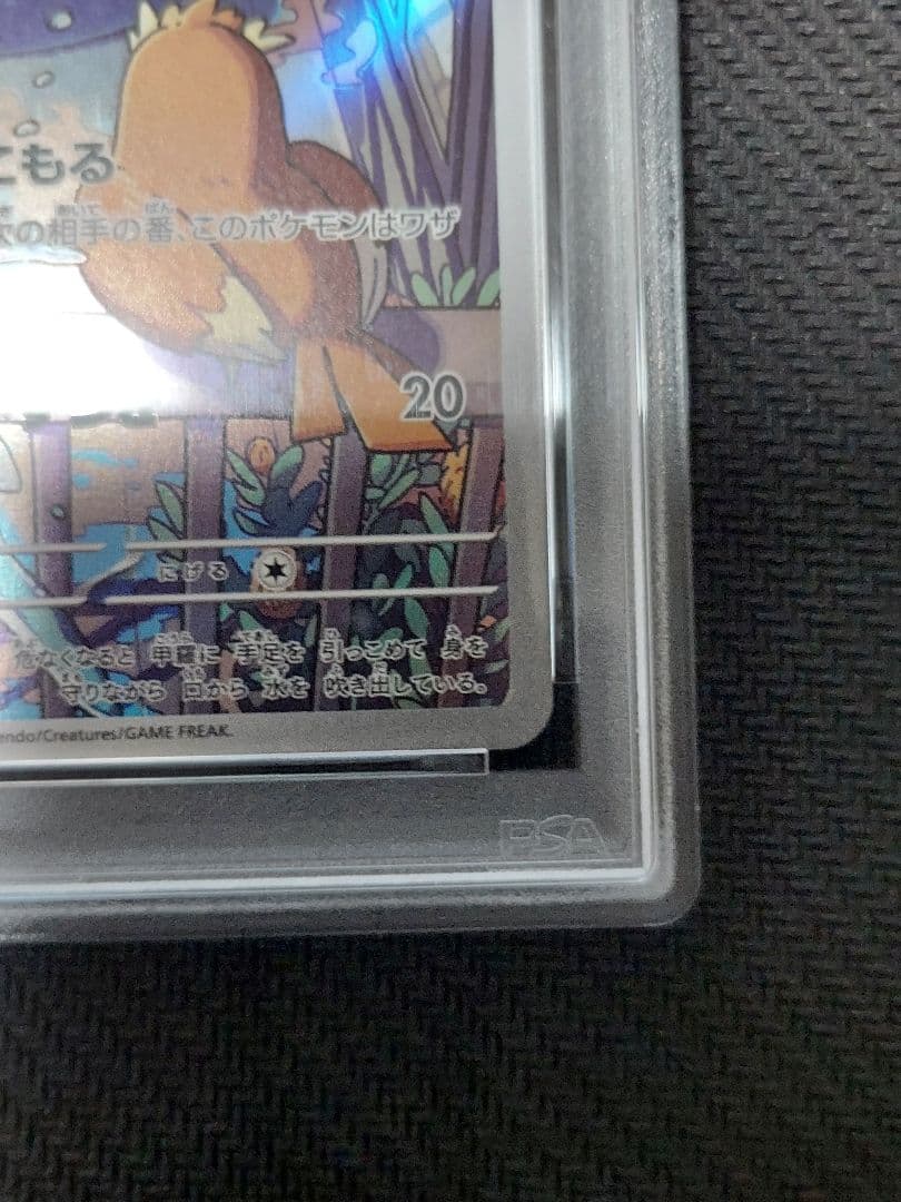 ゼニガメ PSA10　スペシャルデッキセットex