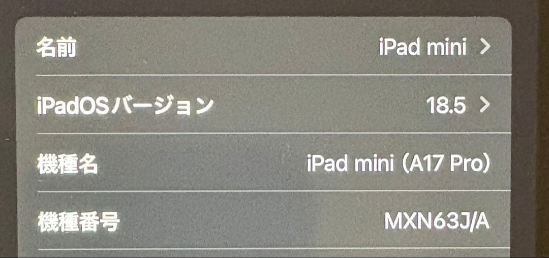 iPad mini第7世代(A17pro)Apple pencil(USB-C)