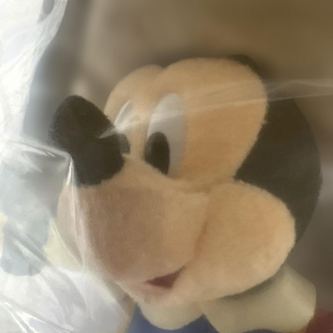 ディズニー　ミッキー ドナルド グーフィー 三銃士 ぬいぐるみバッチ ハウス