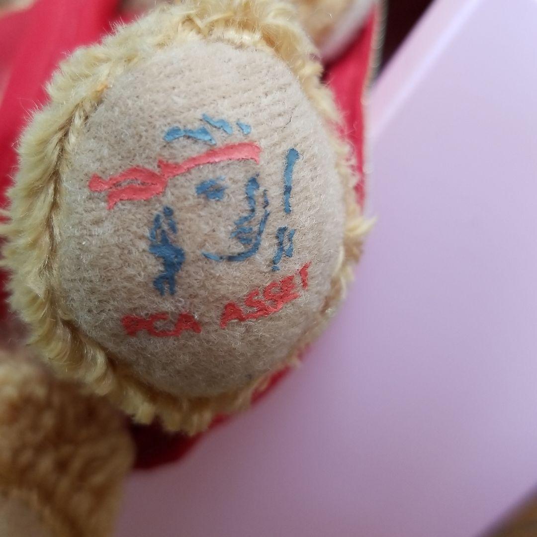 レア　サリー着用インドテディベア