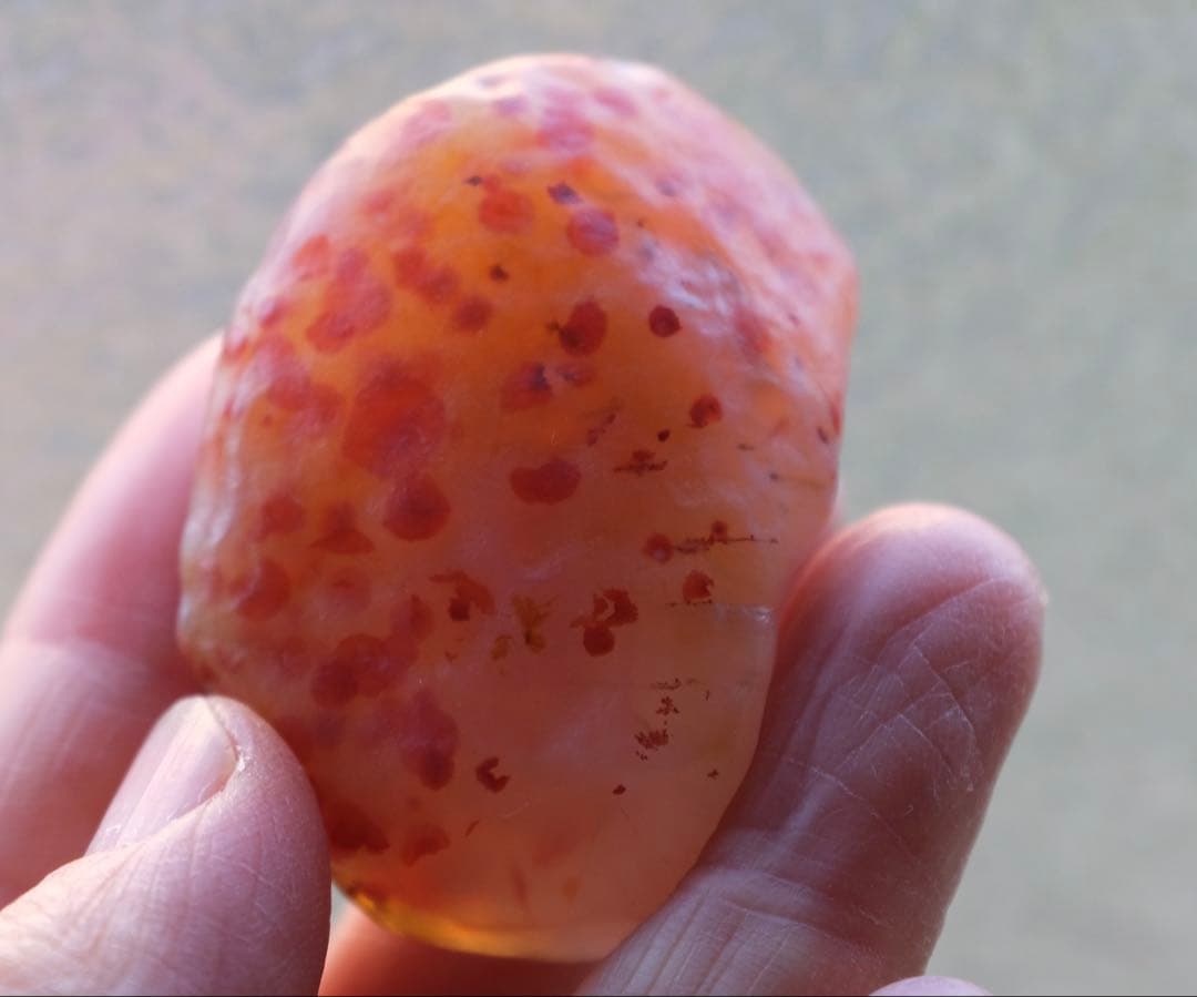 ゴビ石−1446 ゴビ瑪瑙　原石　水玉模様