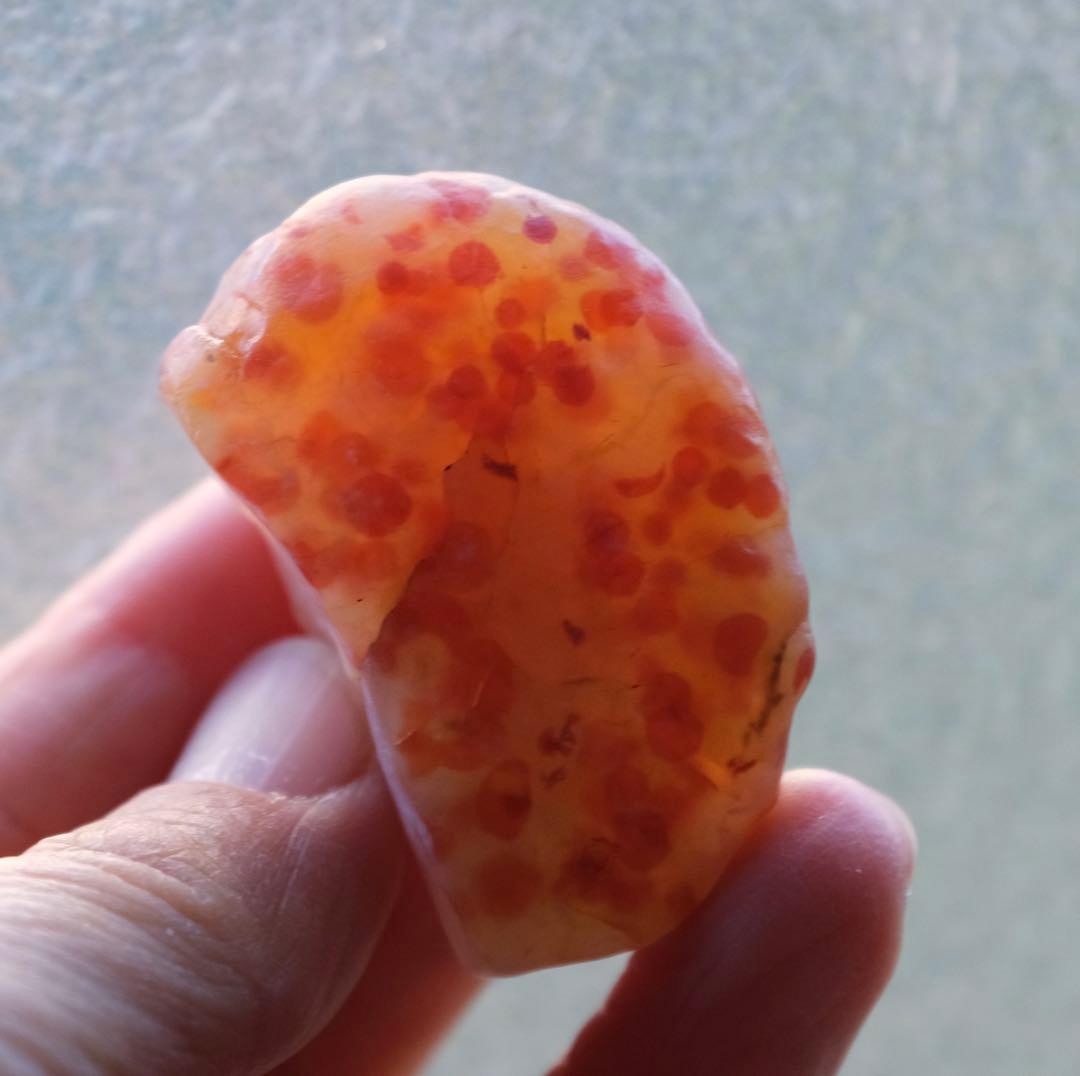 ゴビ石−1446 ゴビ瑪瑙　原石　水玉模様
