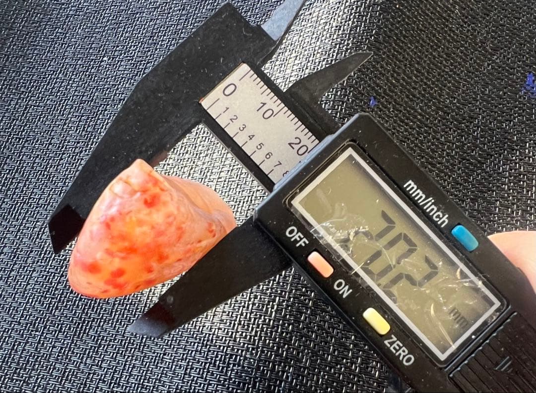 ゴビ石−1446 ゴビ瑪瑙　原石　水玉模様