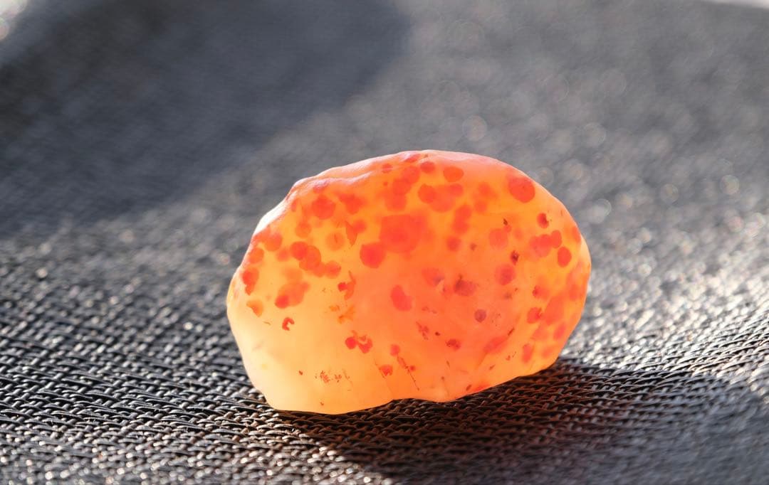 ゴビ石−1446 ゴビ瑪瑙　原石　水玉模様