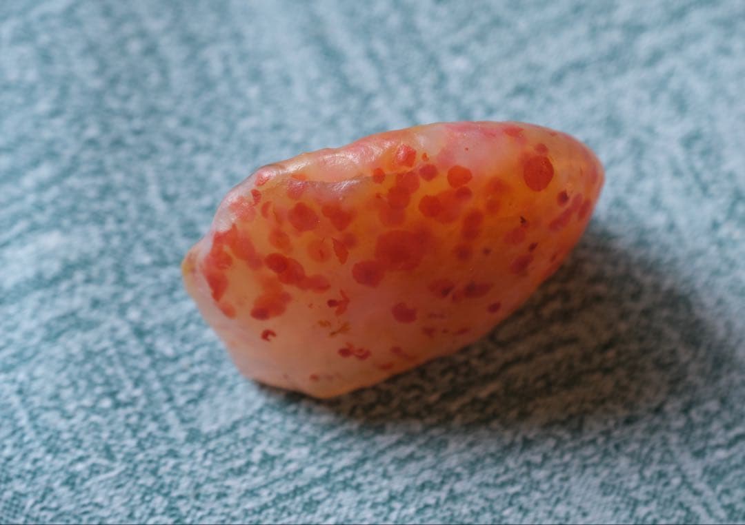 ゴビ石−1446 ゴビ瑪瑙　原石　水玉模様