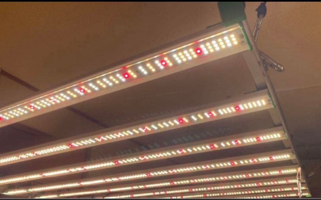 MARS HYDRO FC-8000植物育成グロウライト OPTIC LED