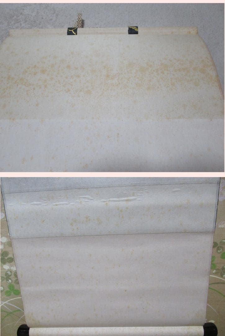 表千家　久田宗也筆　松無古今色　共箱