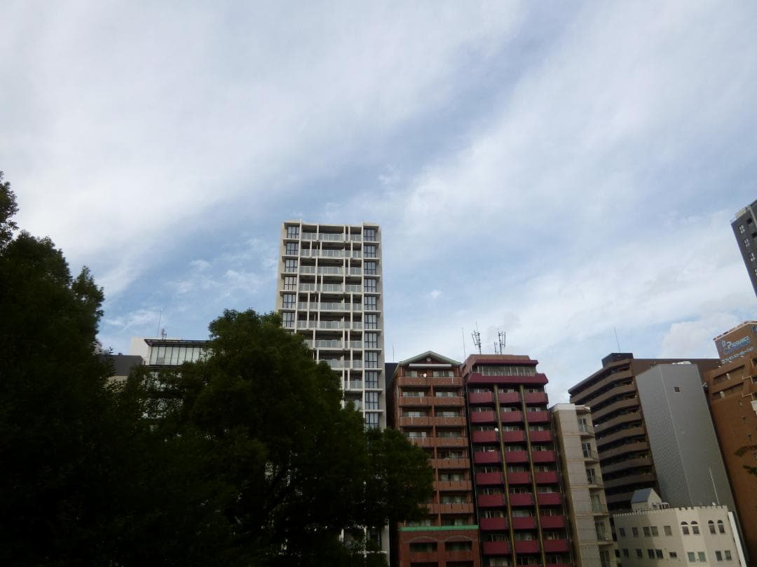 【スマホ転送OK】Panasonic LUMIX DMC-FX77 ブルー