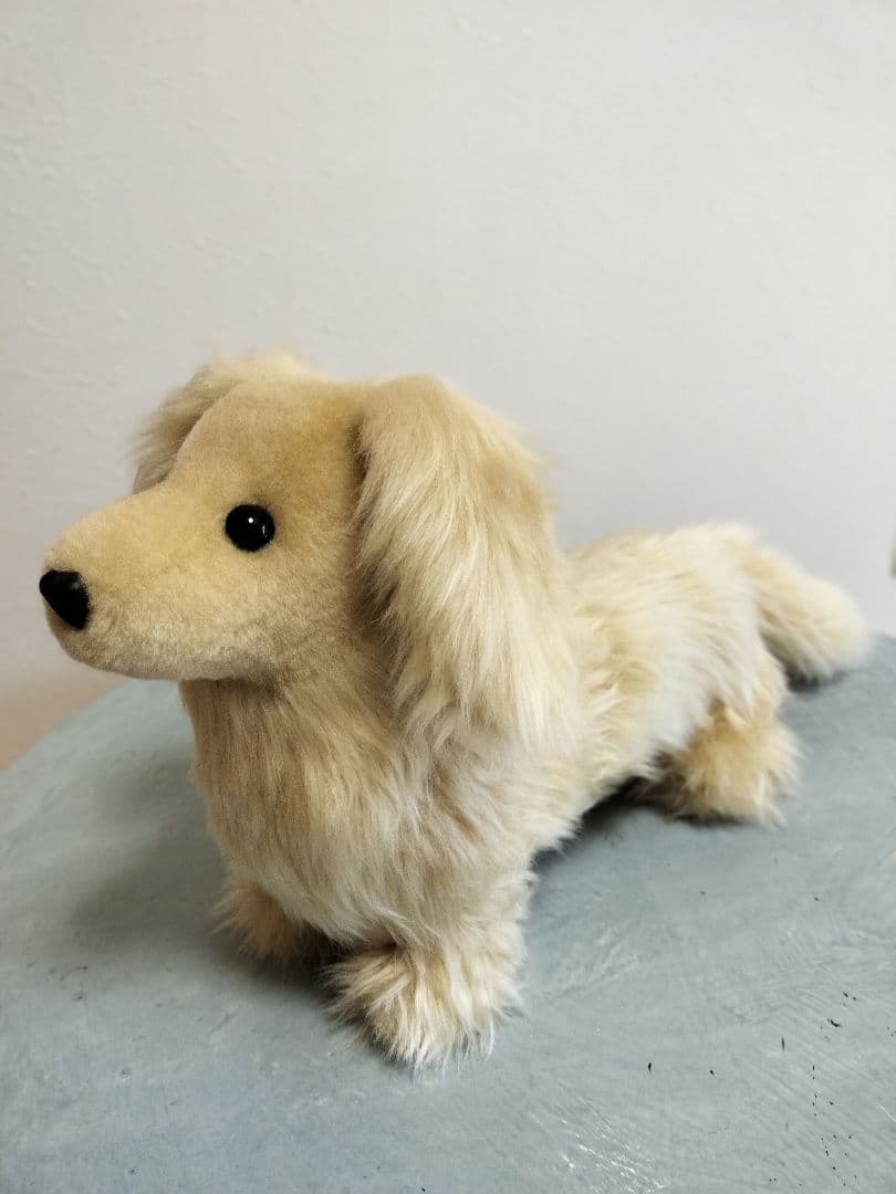 実寸大　ダックス　クリーム