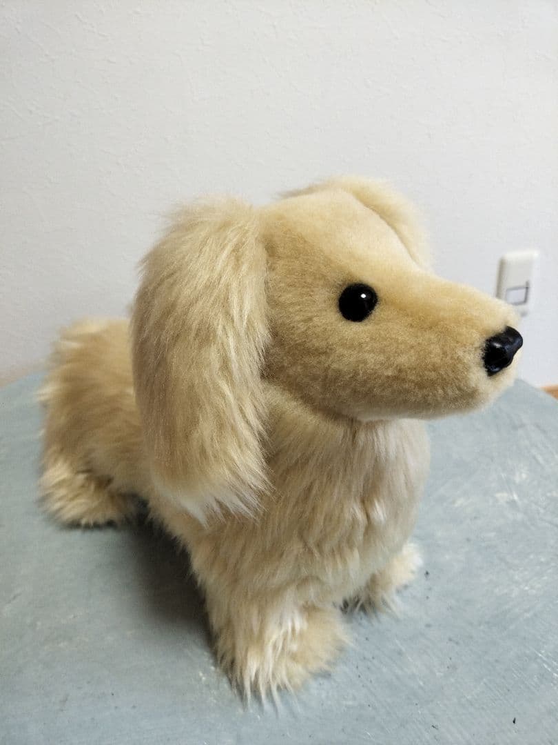 実寸大　ダックス　クリーム