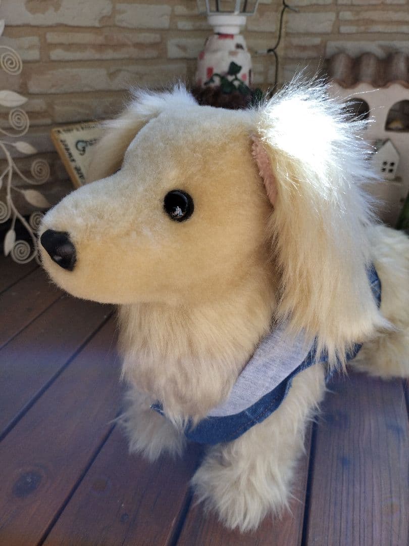 実寸大　ダックス　クリーム