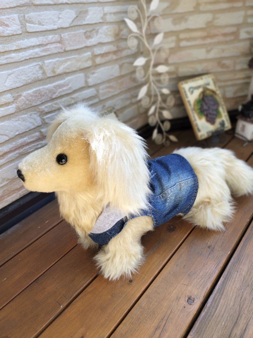 実寸大　ダックス　クリーム