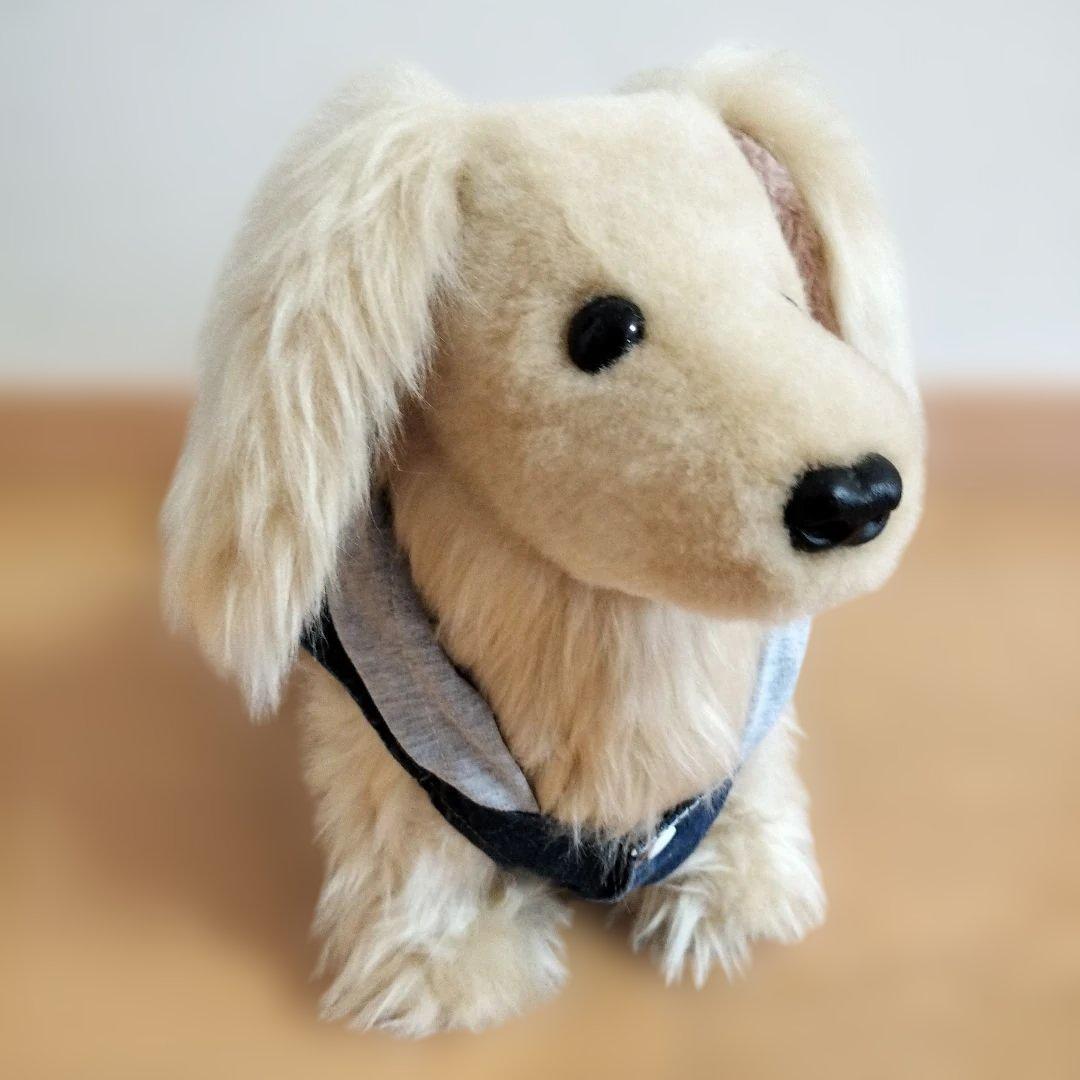 実寸大　ダックス　クリーム