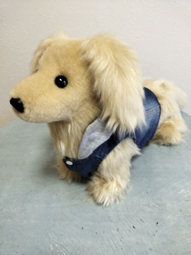 実寸大　ダックス　クリーム