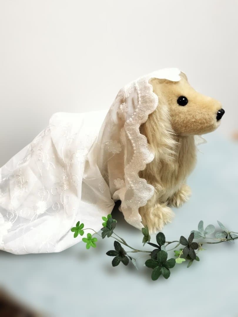 実寸大　ダックス　クリーム