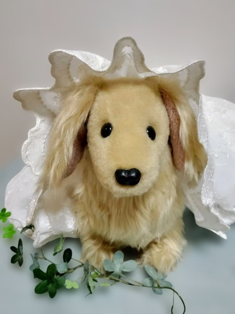 実寸大　ダックス　クリーム