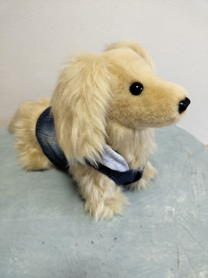 実寸大　ダックス　クリーム