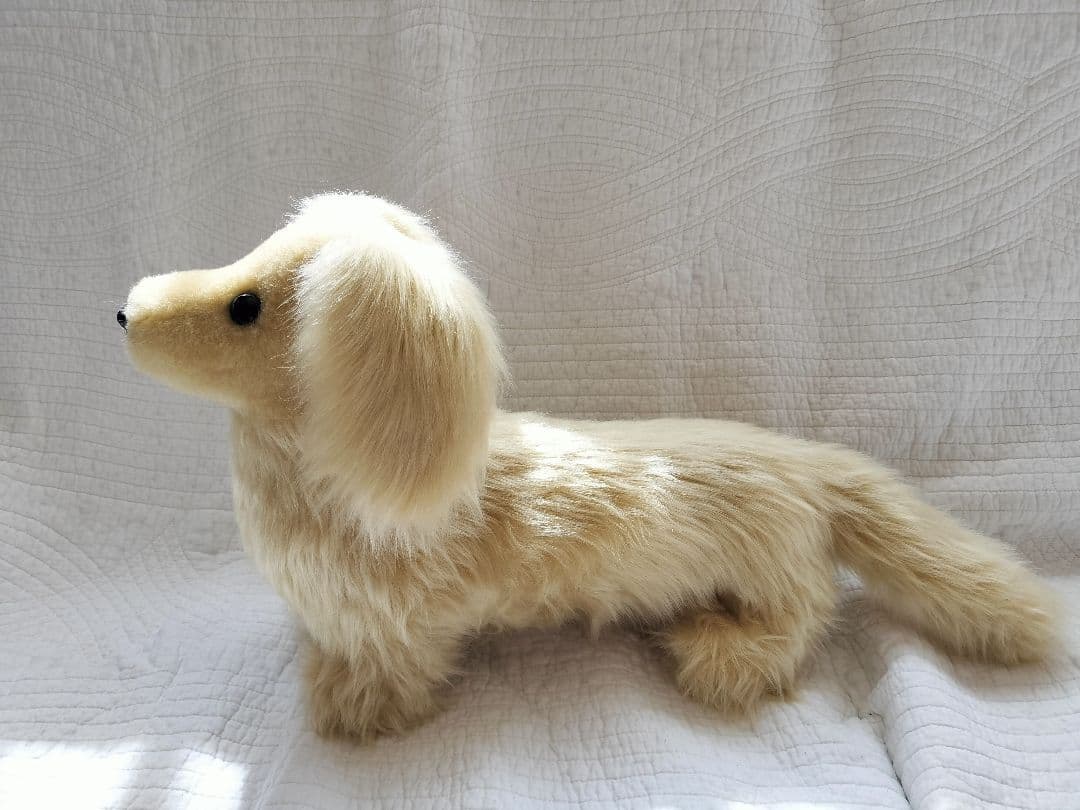 実寸大　ダックス　クリーム