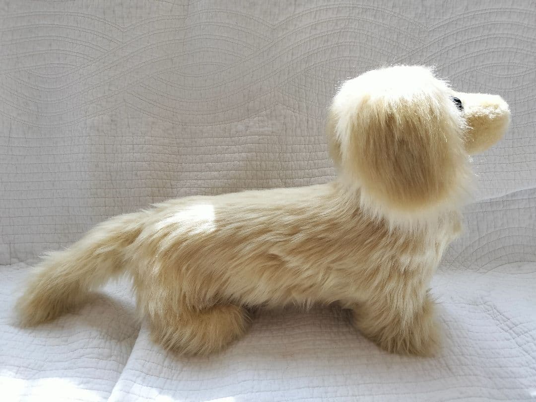 実寸大　ダックス　クリーム