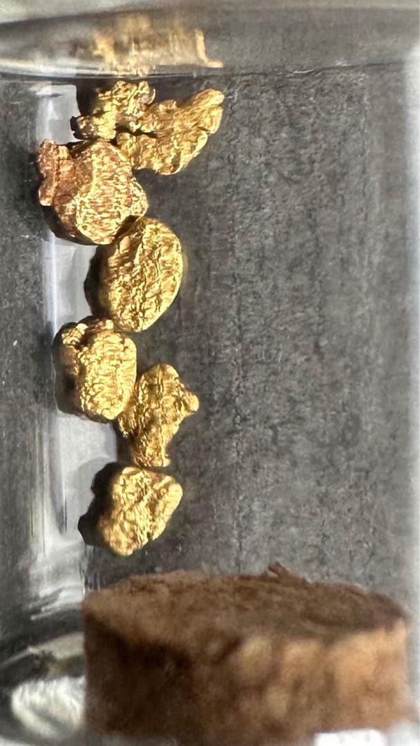 砂金　国産　観賞・資料用