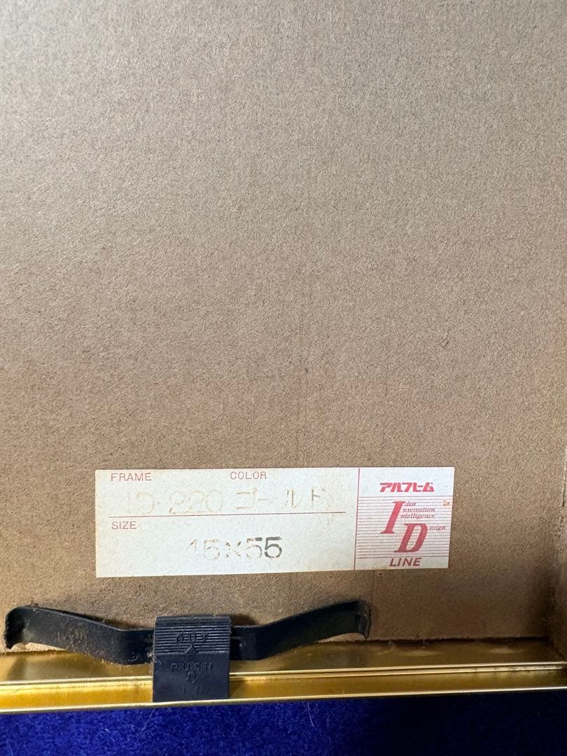 キャロル・ジャブロンスキー LEPUS RANA リトグラフ 26/300