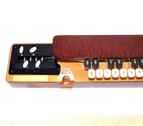 匿名配送☆大正琴 ライリッシュ LSS75 日本製 弦楽器 保管品 ケース付