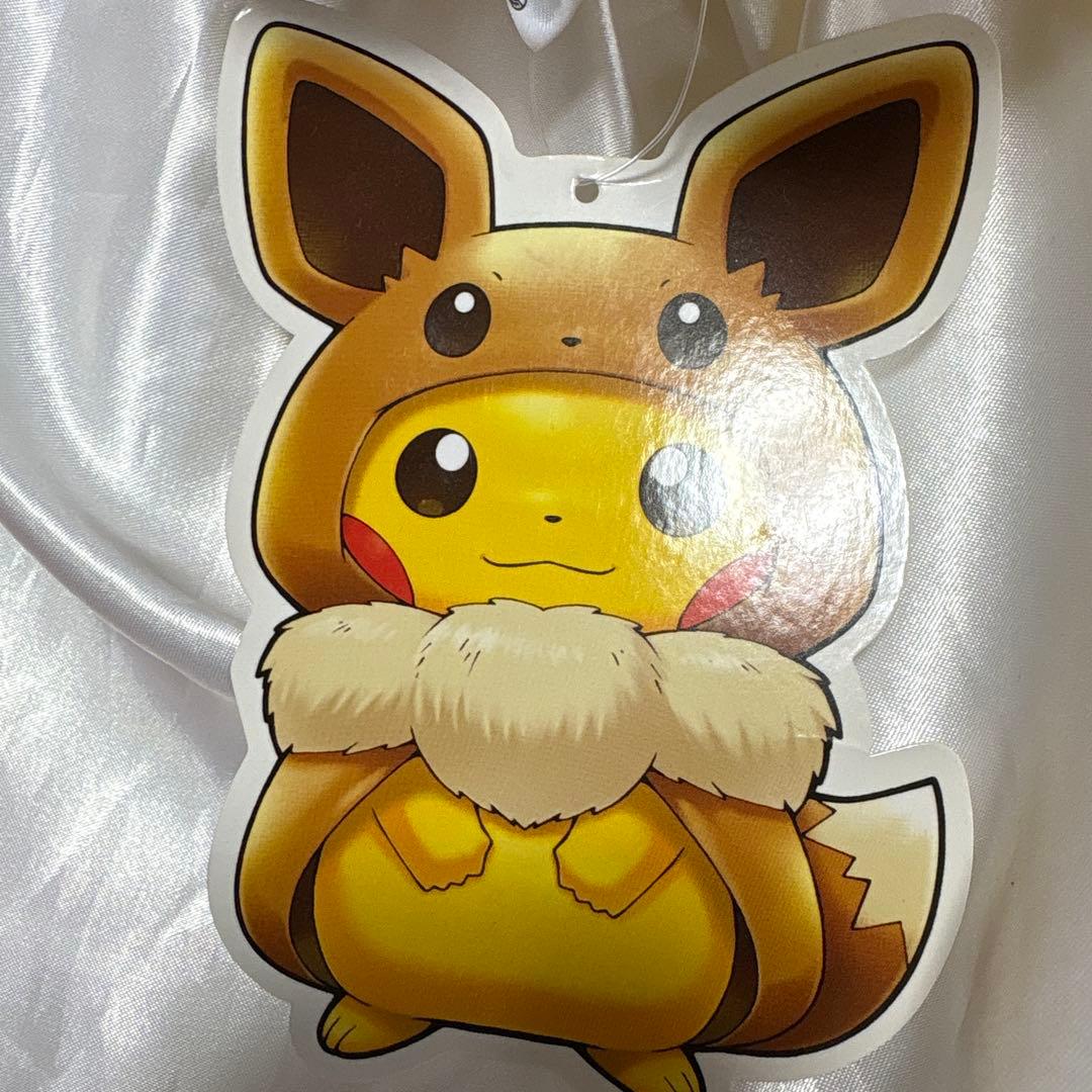 イーブイポンチョのピカチュウ　ぬいぐるみ