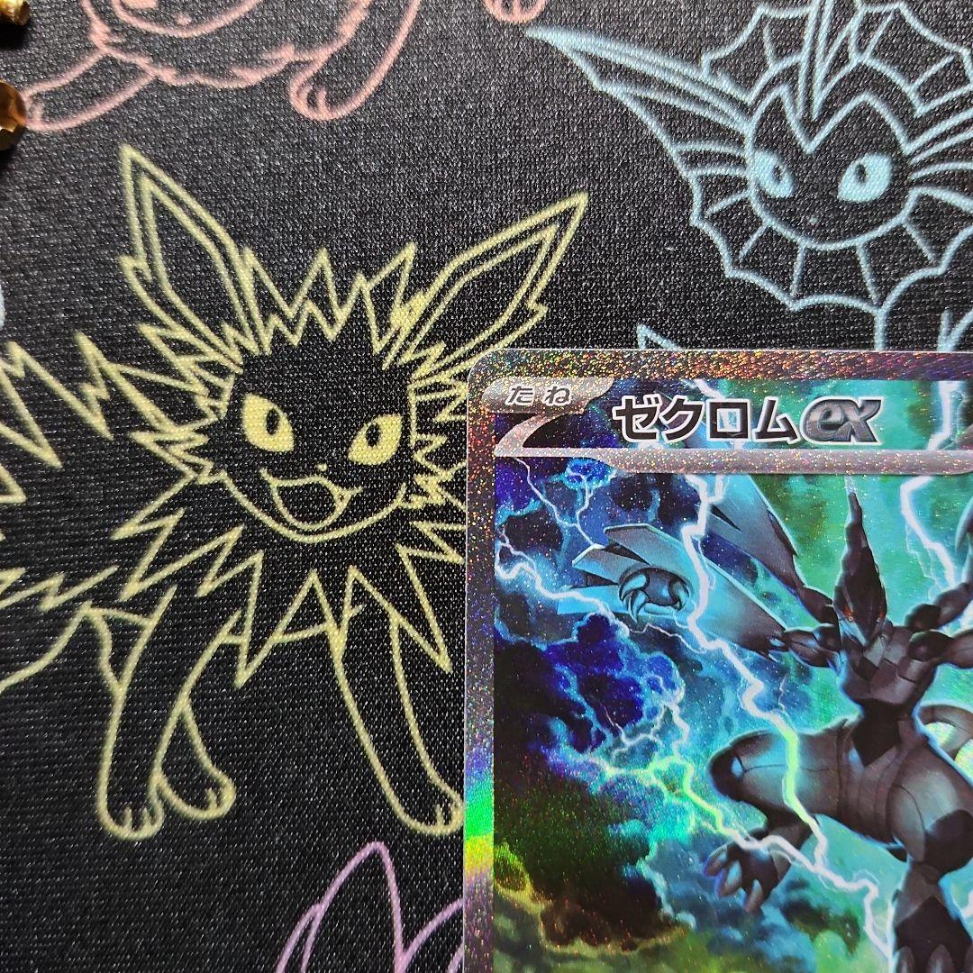 ゼクロムEX SAR　レシラムEX SAR　2枚セット